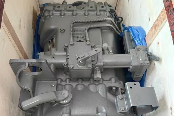 Zingaki izinhlobo zokudluliselwa kwamaloli lapho?