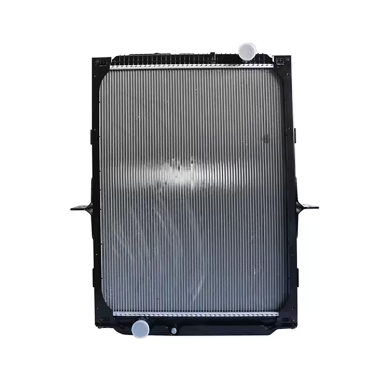 Isisetshenziswa se-radiator senjini DZ91125328